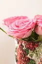 IMG641insta.webp
